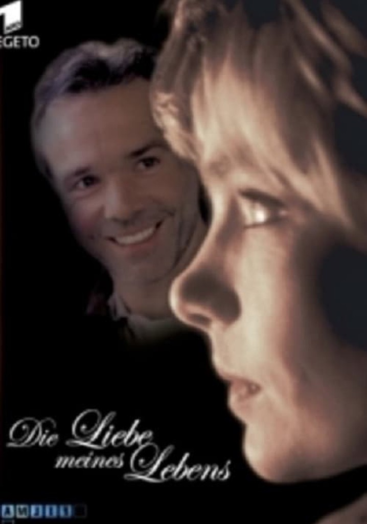 Die Liebe meines Lebens Stream Jetzt online anschauen